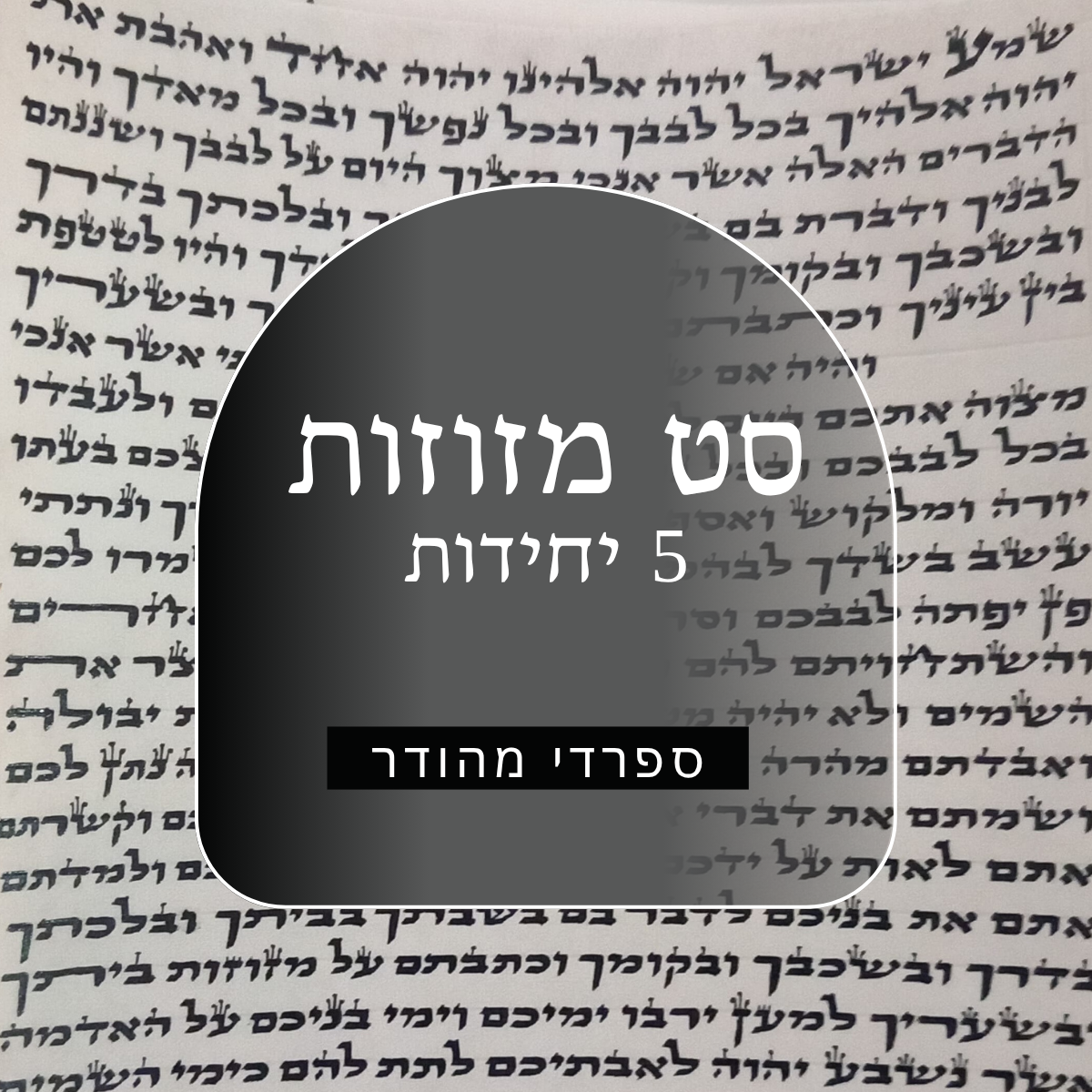 קלפי מזוזה - סט 5 קלפי מזוזות מהודרת - כתב ספרדי גודל 12' - לאחר הגהה ובדיקת מחשב 1 קלפי מזוזה - סט 5 קלפי מזוזות מהודרת - כתב ספרדי גודל 12' - לאחר הגהה ובדיקת מחשב