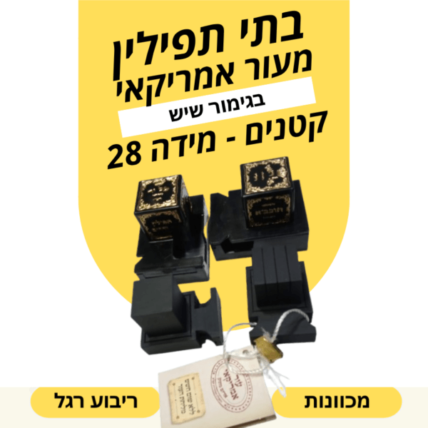 בתי תפילין קטנים מידה 28 בהמה גסה