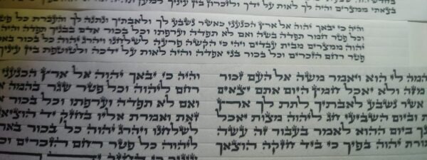 פרשיות מהודרות לתפילין - פצפונים - נוסח ספרדי - רבינו תם - לאחר הגהה ובדיקת מחשב