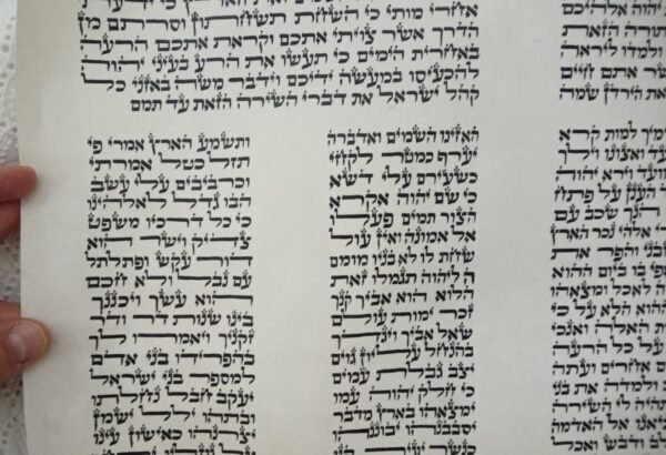 ספר תורה מהודר - נוסח ספרדי - גודל 56'