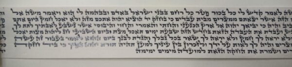 פרשיות מהודרות לתפילין | כתב בית יוסף - רש"י | לאחר הגהה ובדיקת מחשב
