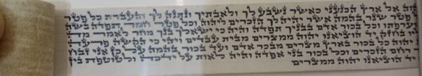 פרשיות מהודרות לתפילין - רש"י נוסח ספרדי - לאחר הגהה ובדיקת מחשב