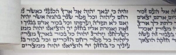 פרשיות מהודרות לתפילין - רש"י נוסח ספרדי - לאחר הגהה ובדיקת מחשב