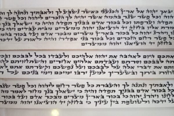 פרשיות מהודרות לתפילין - רש"י נוסח ספרדי - לאחר הגהה ובדיקת מחשב