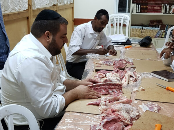 ⁦קורס מנקר מוסמך - קורס ניקור⁩ – תמונה ⁦7⁩