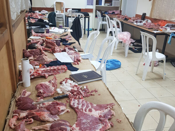 ⁦קורס מנקר מוסמך - קורס ניקור⁩ – תמונה ⁦2⁩