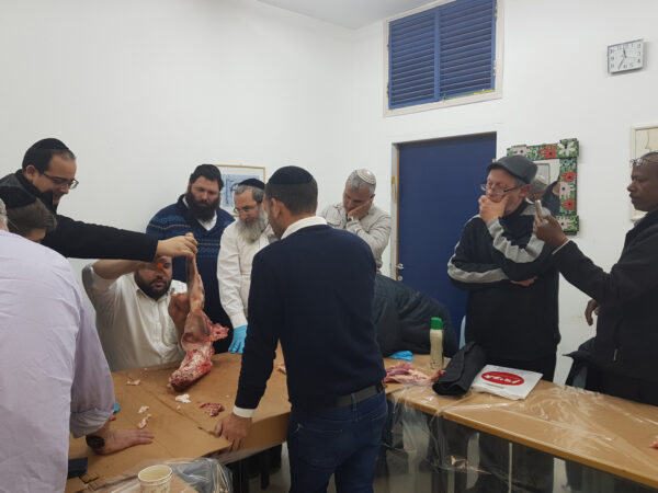 ⁦קורס מנקר מוסמך - קורס ניקור⁩ – תמונה ⁦10⁩