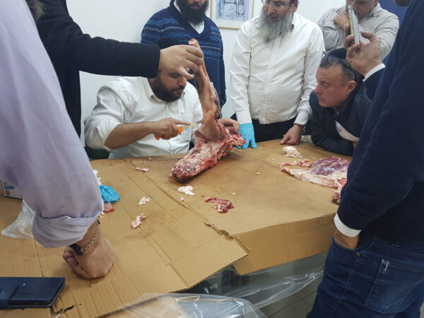 ⁦קורס מנקר מוסמך - קורס ניקור⁩ – תמונה ⁦9⁩
