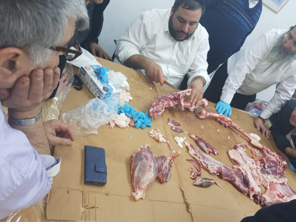 ⁦קורס מנקר מוסמך - קורס ניקור⁩ – תמונה ⁦8⁩