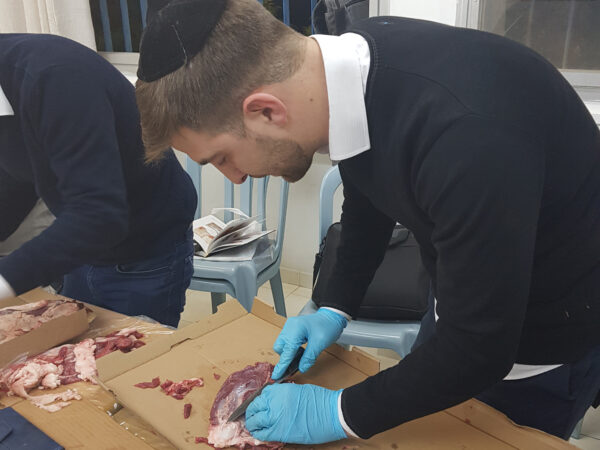 ⁦קורס מנקר מוסמך - קורס ניקור⁩ – תמונה ⁦4⁩