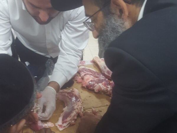 ⁦קורס מנקר מוסמך - קורס ניקור⁩ – תמונה ⁦6⁩
