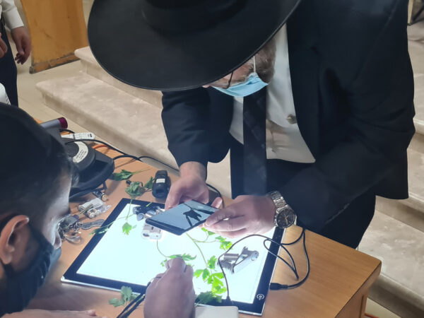 ⁦קורס משגיח כשרות מוסמך⁩ – תמונה ⁦3⁩