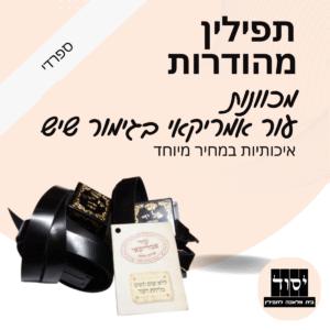 תפילין  בהמה גסה מהודרות | מכוונות - עור אמריקאי בגימור שיש עם פרשיות תפילין מהודרות ורצועות עבודות יד עבות 15 מ"מ