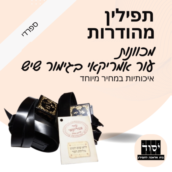 תפילין  בהמה גסה מהודרות | מכוונות - עור אמריקאי בגימור שיש עם פרשיות תפילין מהודרות ורצועות עבודות יד עבות 15 מ"מ