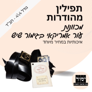 תפילין חב"ד גדולות 4 על 4 מהודרות בהמה גסה | מכוונות - עור אמריקאי בגימור שיש עם פרשיות תפילין מהודרות ורצועות עבודות יד רחבות 15 מ"מ