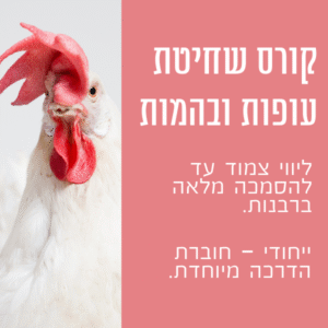 קורס שוחט מוסמך קורס שחיטת עופות | בהמות