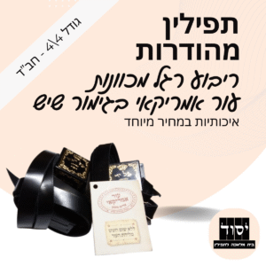 תפילין חב"ד מהודרות בהמה גסה | ריבוע רגל מכוונות - עור אמריקאי בגימור שיש - פרשיות תפילין מהודרות ורצועות עבודות יד 15 מ"מ
