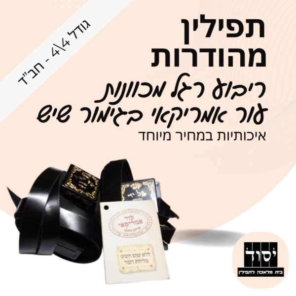 תפילין חב"ד מהודרות בהמה גסה | ריבוע רגל מכוונות - עור אמריקאי בגימור שיש - פרשיות תפילין מהודרות ורצועות עבודות יד 15 מ"מ