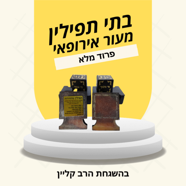 בתי תפילין בהמה גסה